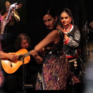 Flamenco Performance